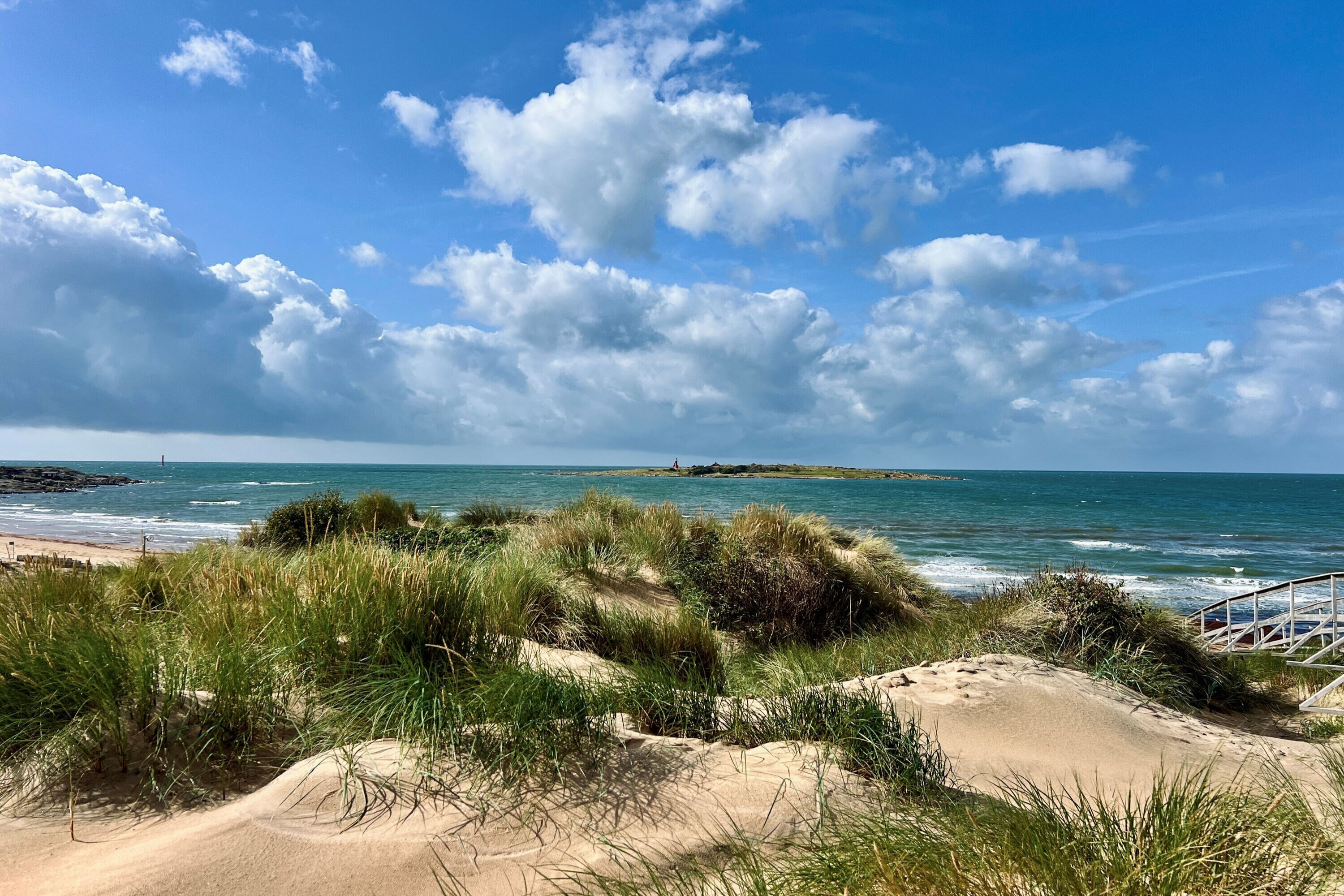 Strand och hav i Tylösand.